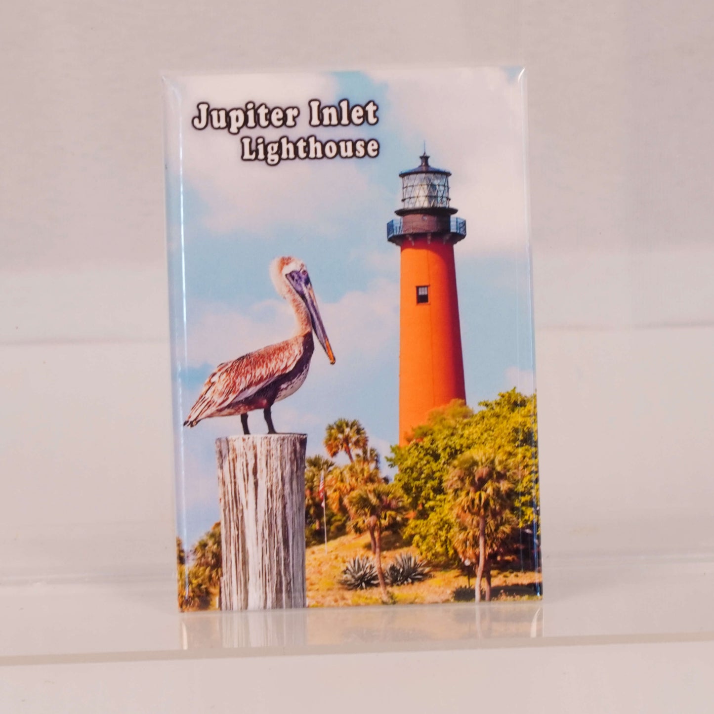 McDow Photo Lighthouse Magnet